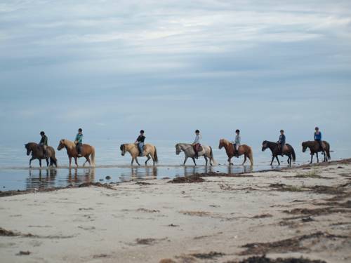 Læsø Danemark code de réduction du bon hôtel Booking.com