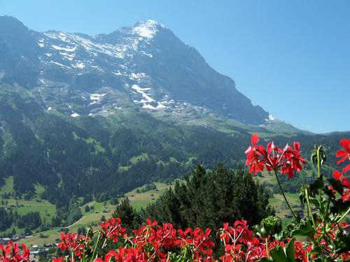 Grindelwald Suiza código de descuento del vale de hotel booking.com